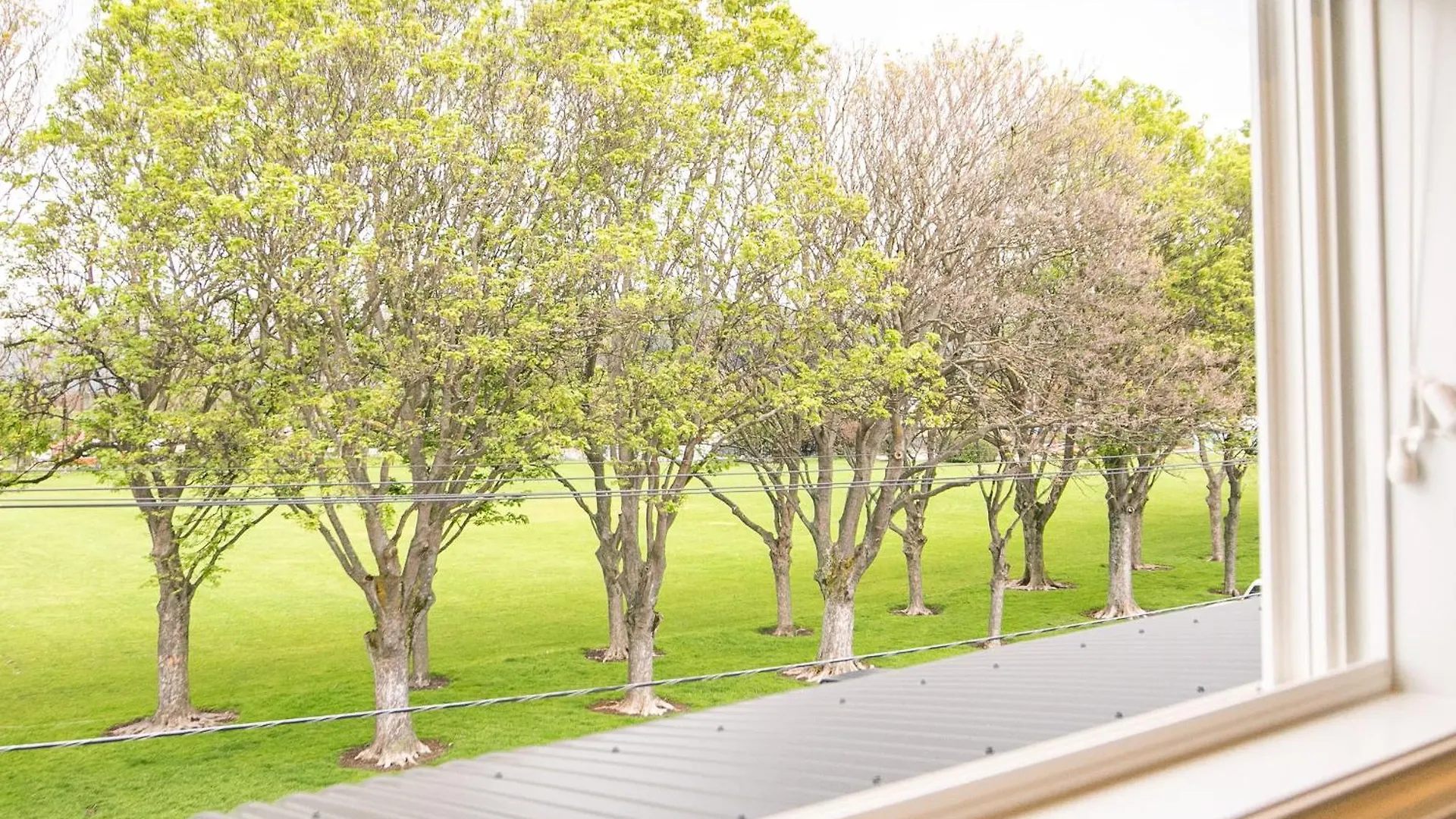 3 Bed Family Retreat Classic Charm With Park Views Christchurch Nova Zelândia